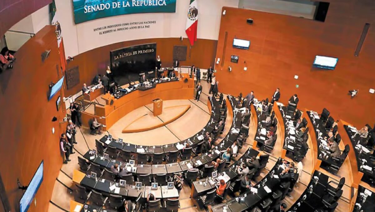 De 12 aspirantes michoacanos al Senado por Morena, 9 con licenciatura