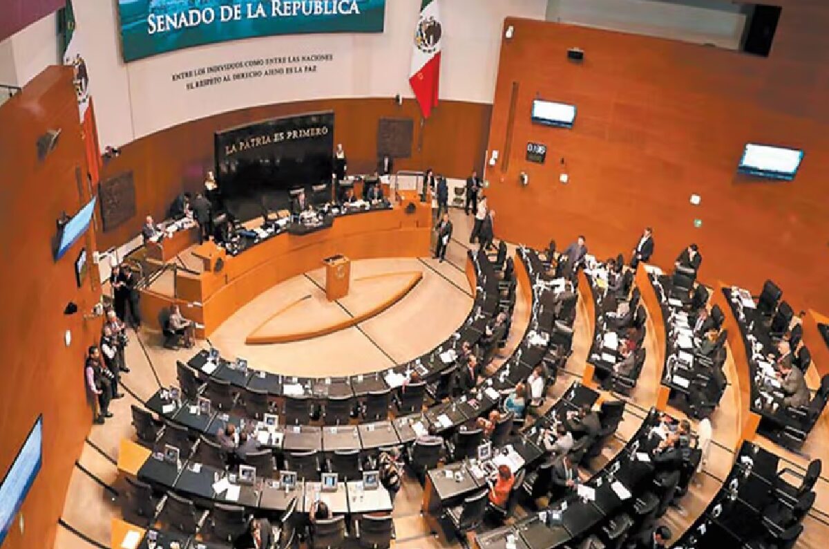 De 12 aspirantes michoacanos al Senado por Morena, 9 con licenciatura