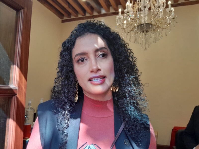 Edna Díaz niega que Silvano esté detrás de su candidatura al Senado