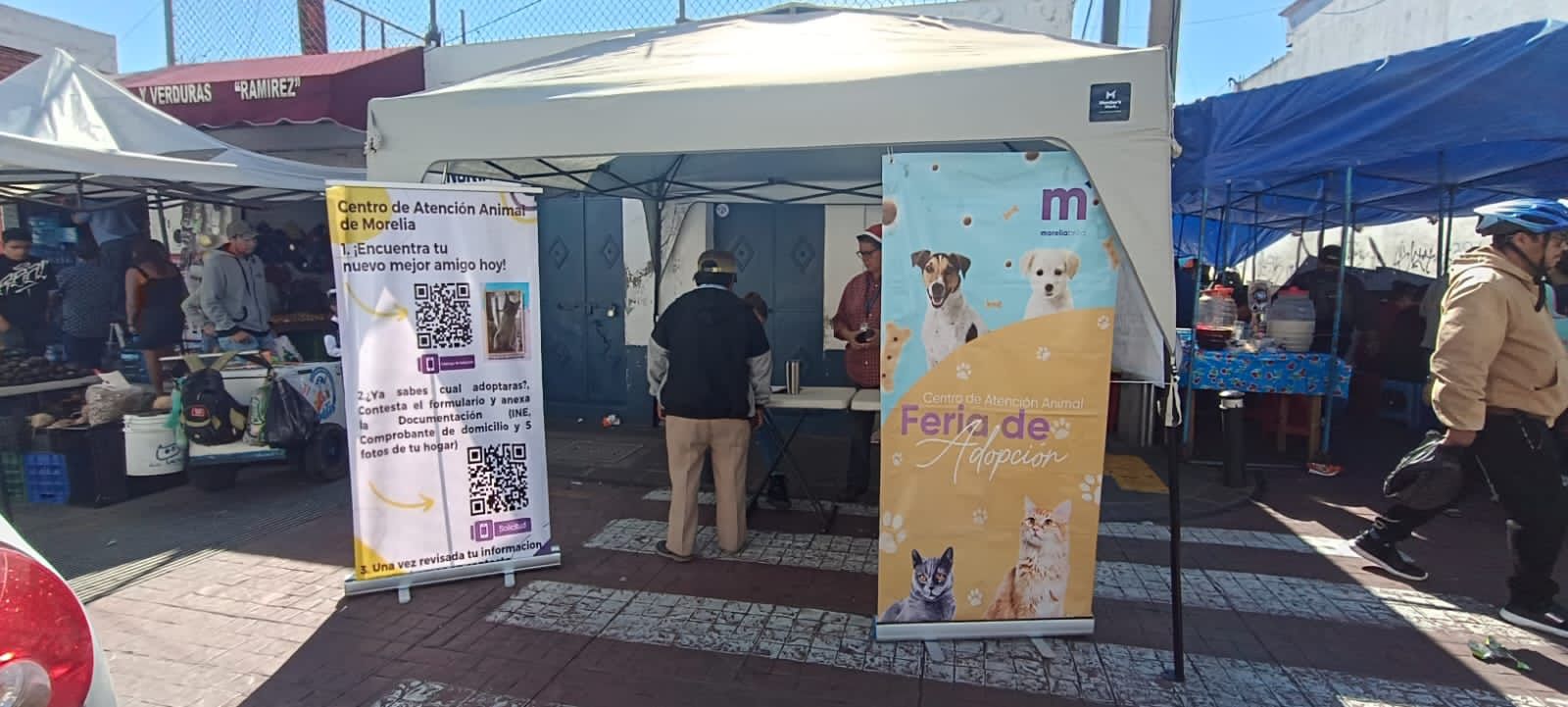 Maltrato animal comienza con la compra de ejemplares CAA