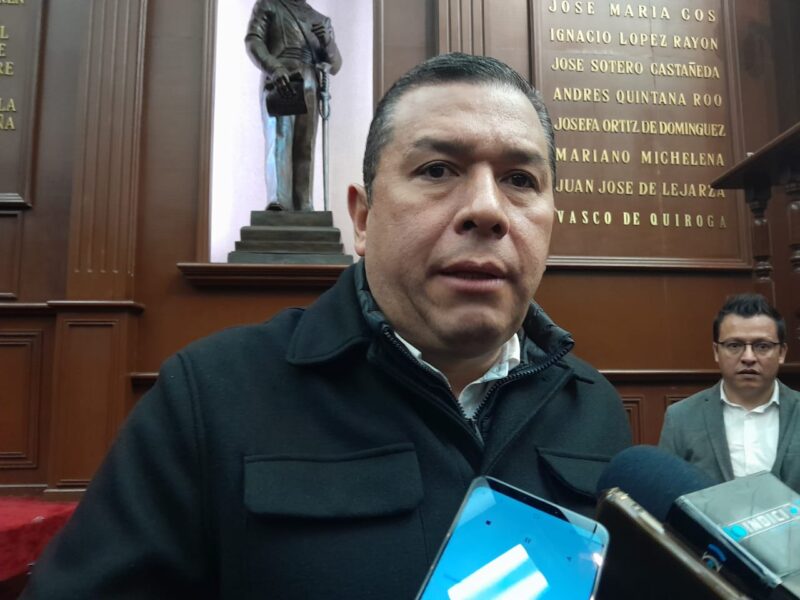 Si PVEM decide postular a Luis Navarro, “no tengo ninguna dificultad” Barragán