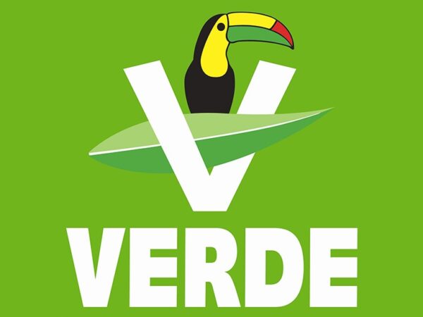 Verde en Michoacán va por 6 diputaciones y 16 municipios