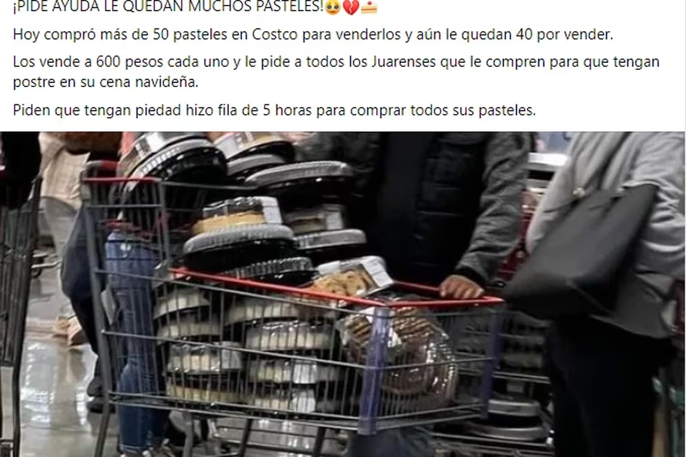 revender 50 pasteles de Costco