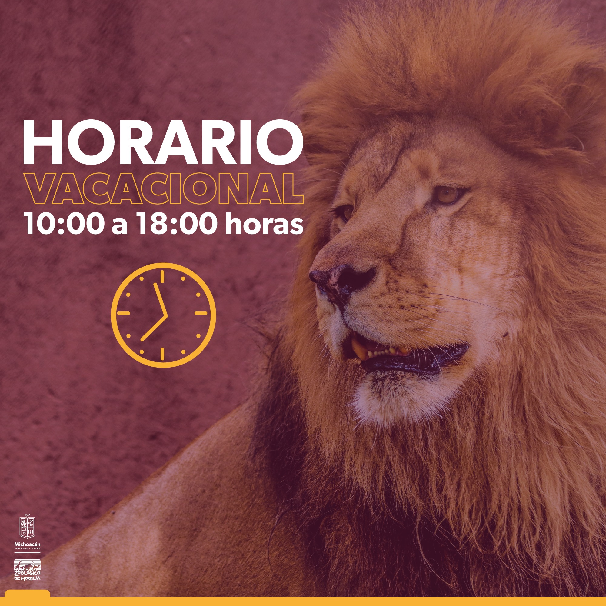 Zoológico de Morelia horario vacaciones