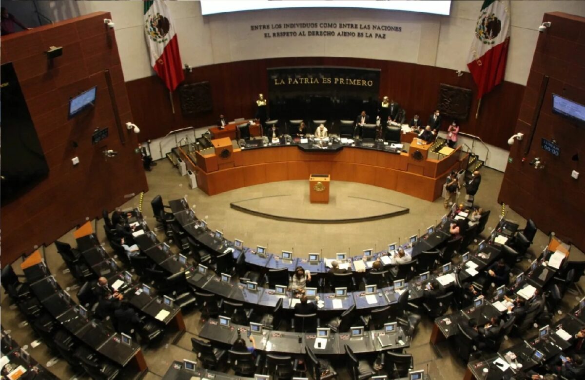 Abogados, profesores, ingenieros y psicólogos, van por Senado en Michoacán