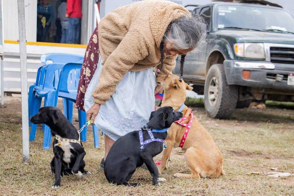 centro animal tangancícuaro caso buba y canela