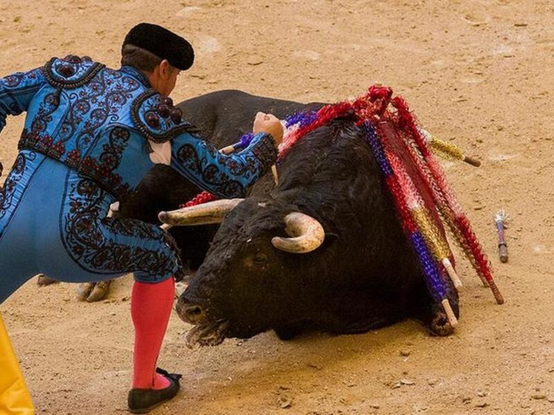 Suspenden nuevamente corridas de toros en Plaza México