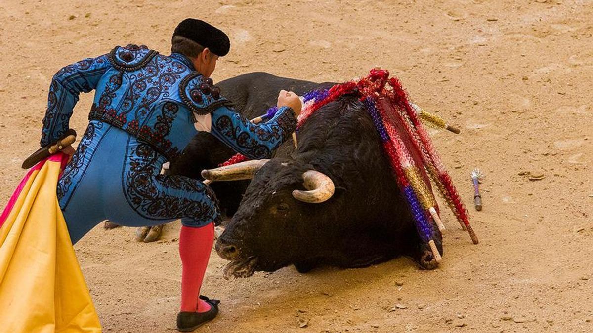 Suspenden nuevamente corridas de toros en Plaza México