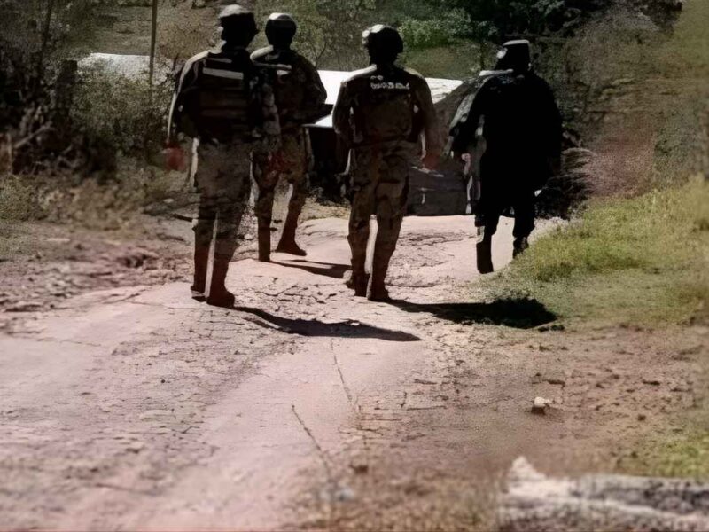 Tras enfrentamiento en Tumbiscatío se logró la desarticulación y detención de una célula delictiva venezolana