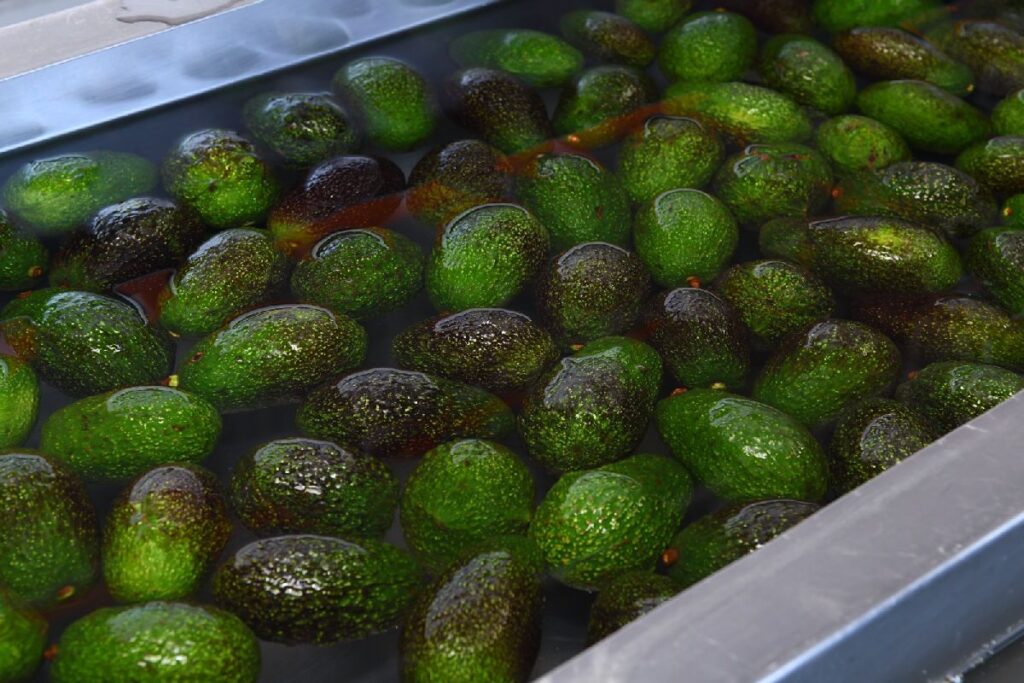 aguacate michoacano en super bowl