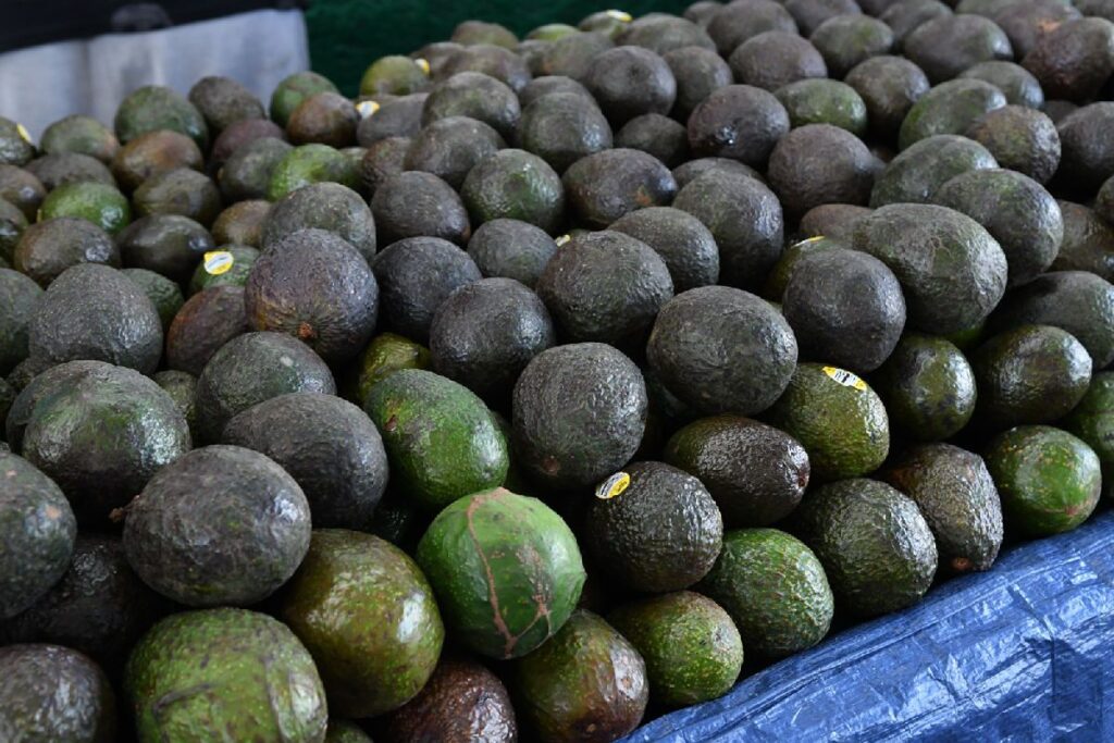 aguacate michoacano en super bowl 3