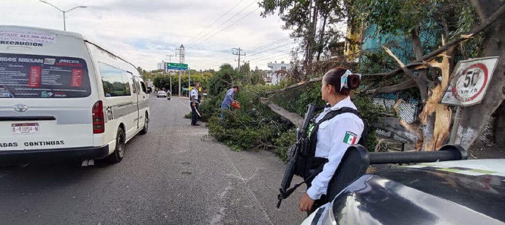 autoridades atienden caída de árbol en avenida de Morelia