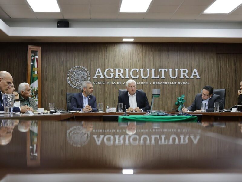 busca bedolla certificación ambiental del aguacate