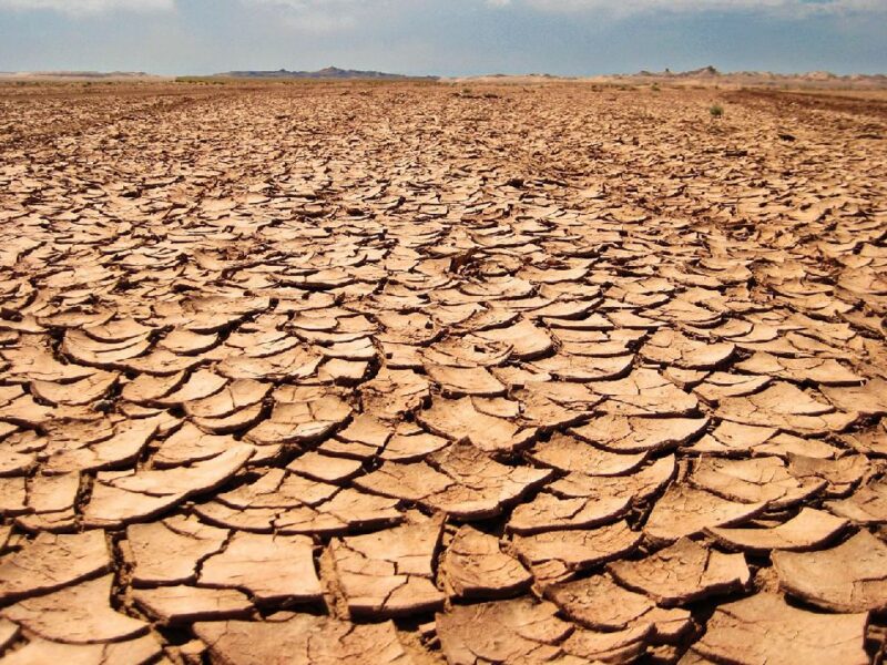 El impacto de la sequía en la agricultura