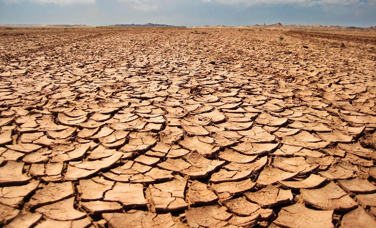 El impacto de la sequía en la agricultura