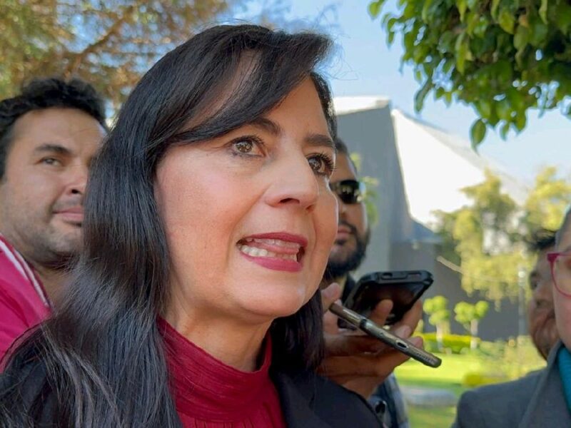 gabriela molina aguilar titular de la see