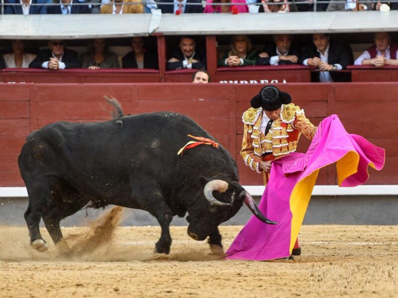 Justicia federal aborda tema de corridas de toros en México