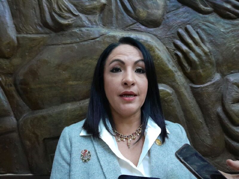 la diputada urge el dictamen del puente de Salida Salamanca