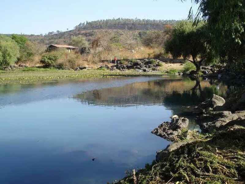 manantial Mintzita en riesgo por saqueo de agua