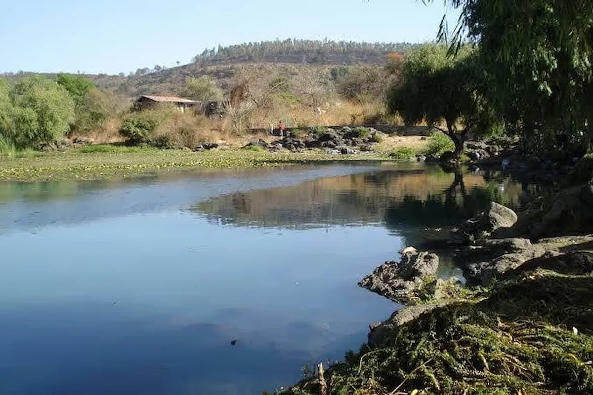 manantial Mintzita en riesgo por saqueo de agua