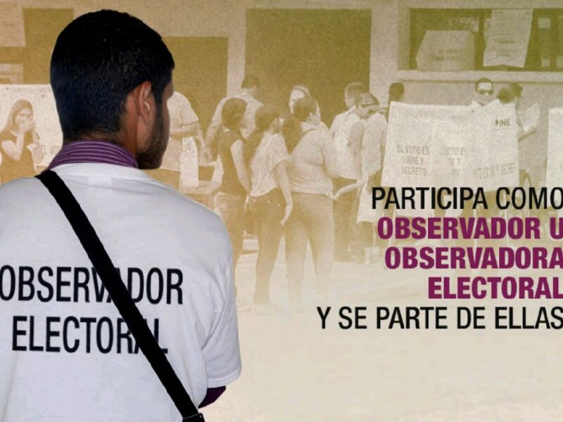 michoacán solicitudes observadores del ine