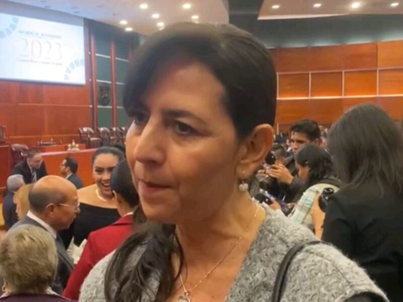 paro cnte michoacán gabriela molina