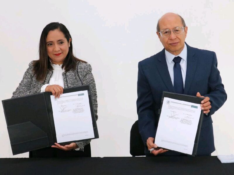 trabajadores son apoyados en su formación judicial
