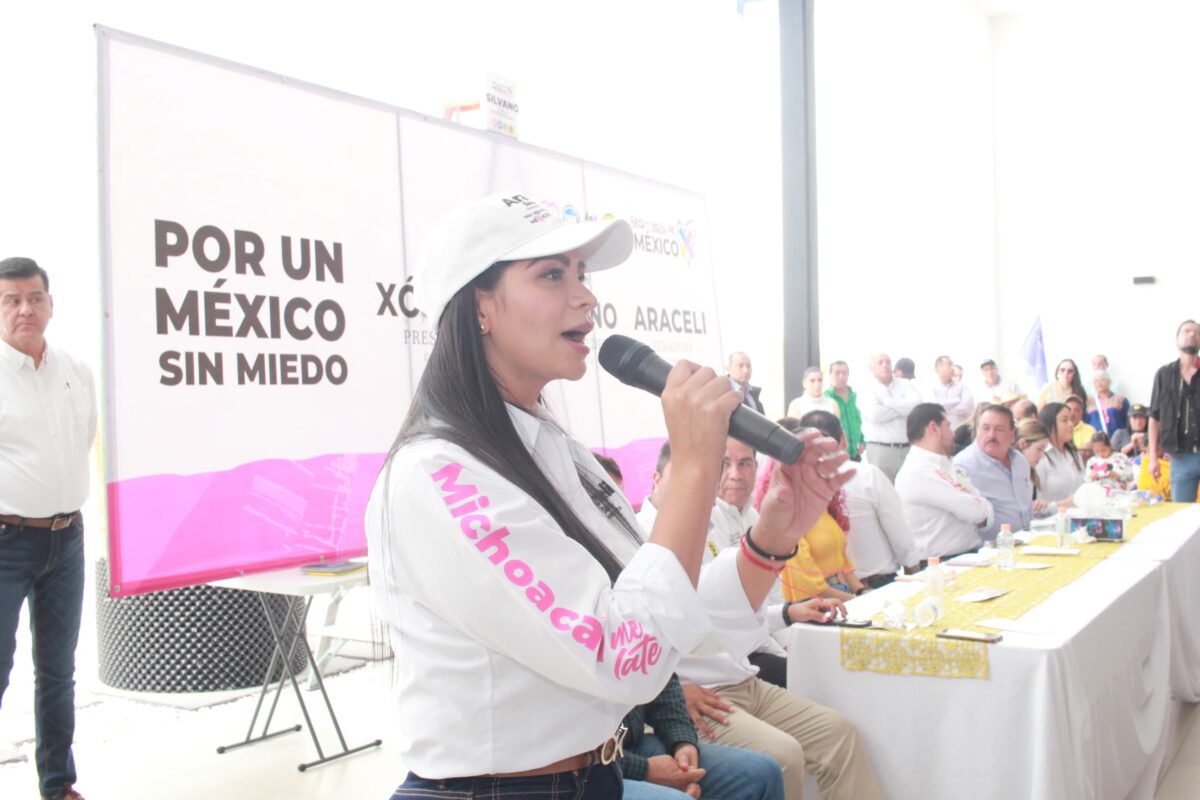 El dos de junio diremos ¡ya basta! a la inseguridad y a la omisión de las autoridades para combatirla: Araceli Saucedo