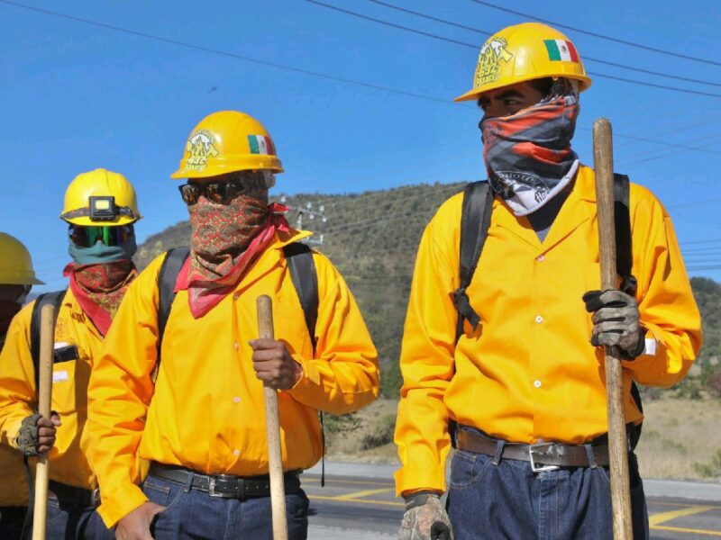 Bajo control y sin riesgos, incendios forestales: Bedolla