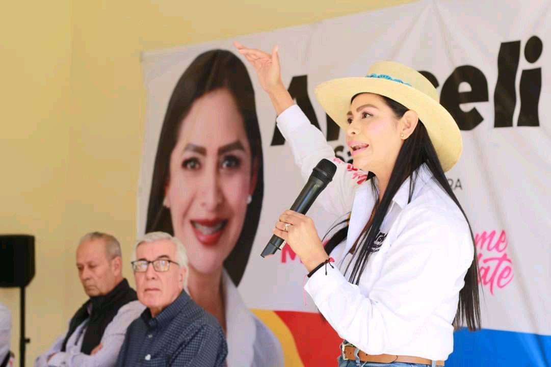 araceli saucedo candidata al senado 1