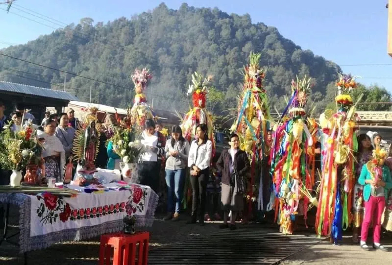 bendición de palmas en Uruapan Michoacán