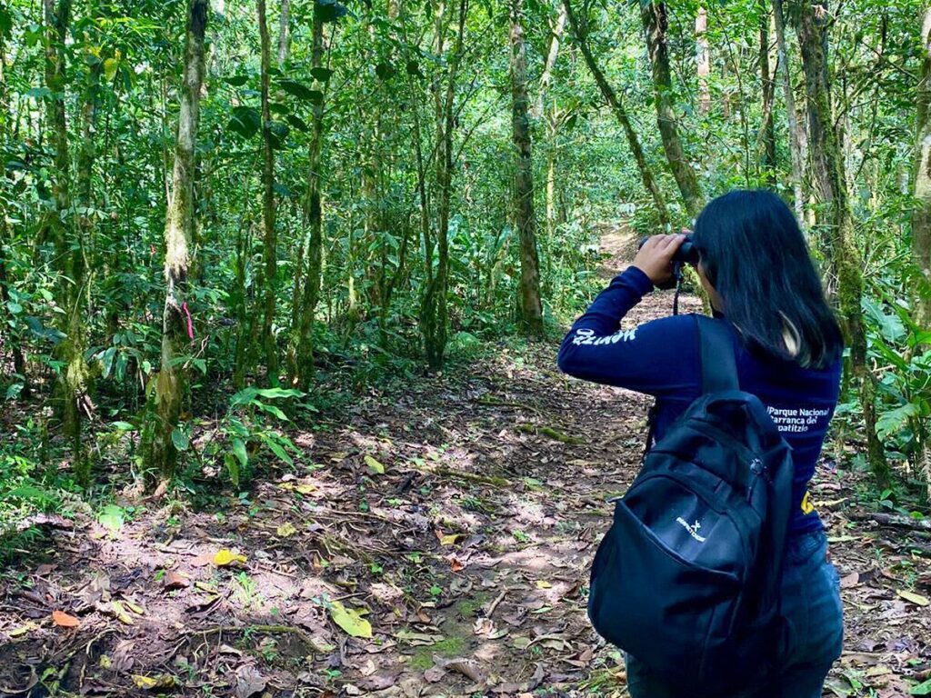 biología tropical conservación estudiante umsnh 2