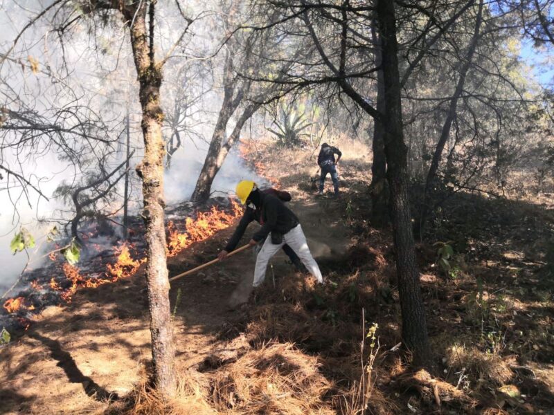 Progreso significativo en la lucha contra el incendio forestal en Tlalpujahua
