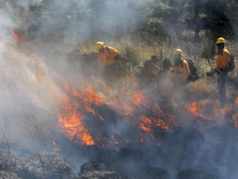 Combaten incendio forestal en Acuitzio