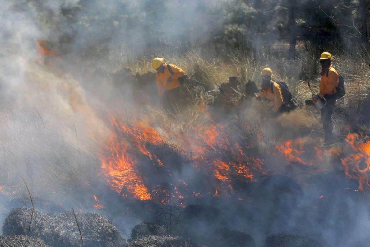 Combaten incendio forestal en Acuitzio