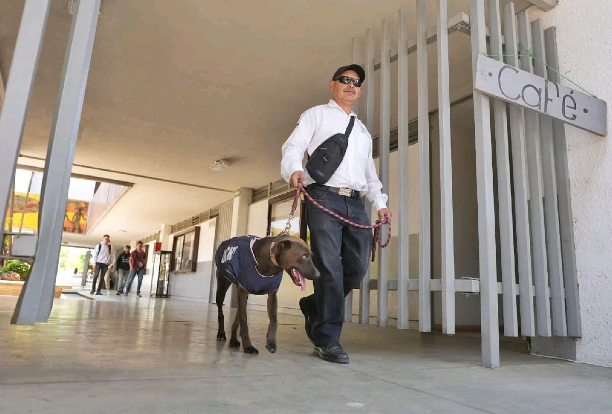 contentos los binomios caninos de la UMSNH