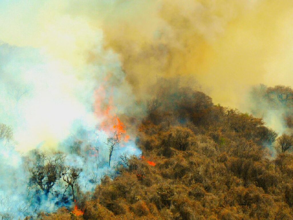 Crones acción incendio Cerro del Quinceo