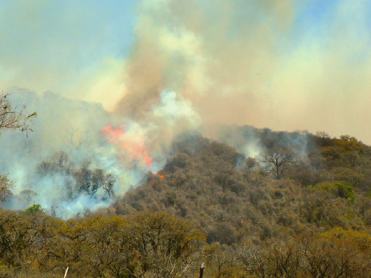 Drones en Acción para Controlar Incendio en Cerro del Quinceo