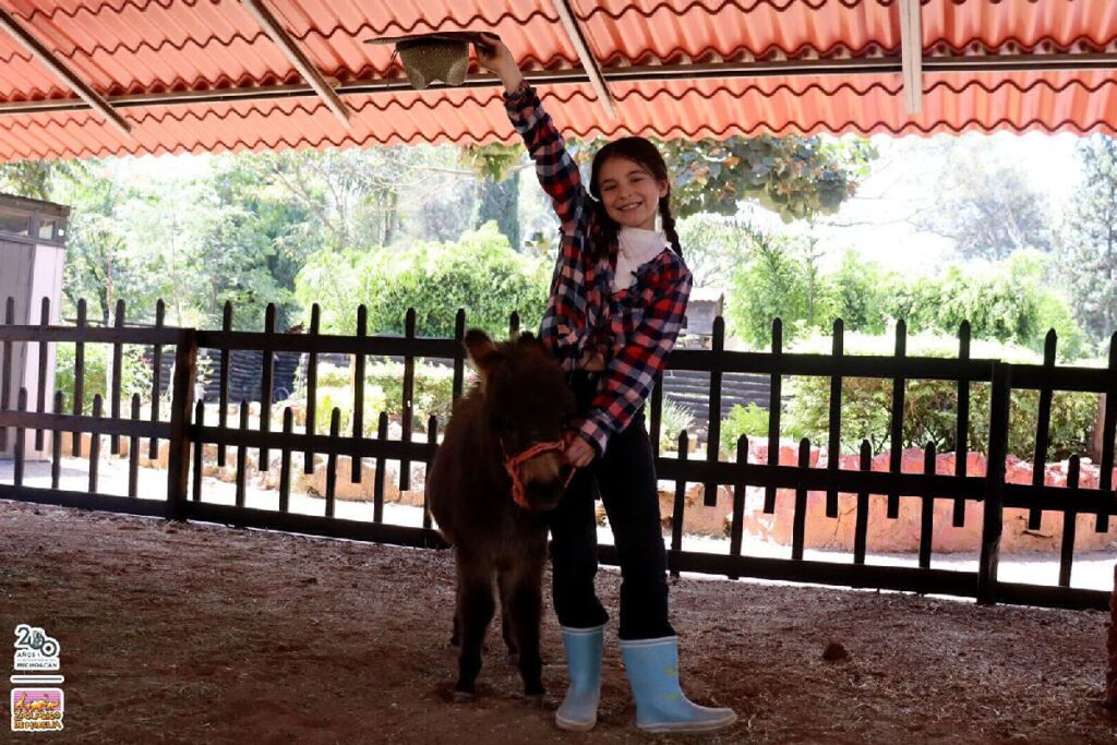 experiencia granjero en el Zoo de Morelia - pony