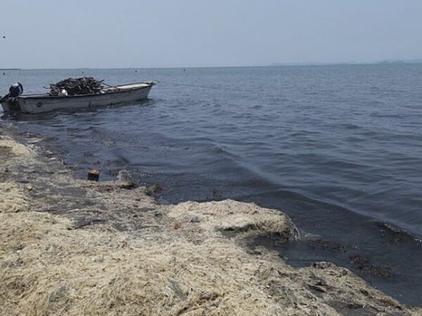 Descubren cuerpos en playa de Oaxaca: posible tragedia migratoria