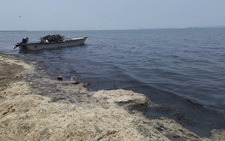 Hallazgo de cuerpos en playa de Oaxaca