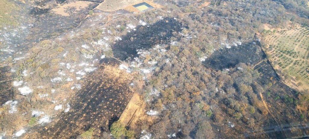 incendios forestales en michoacán 2024 1