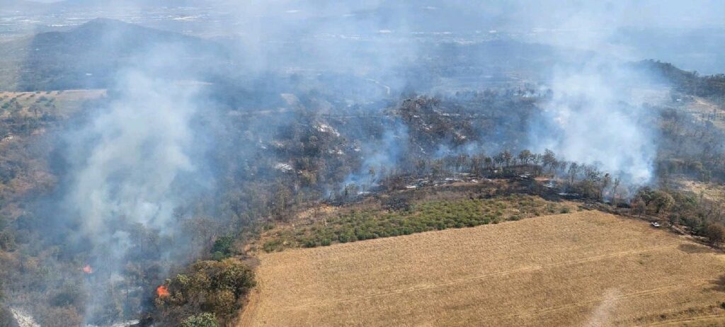 incendios forestales en michoacán 2024 2