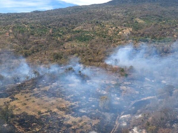Brigadistas atienden seis incendios forestales en Michoacán