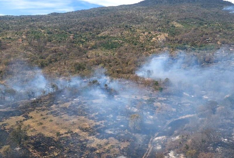 incendios forestales en michoacán 2024