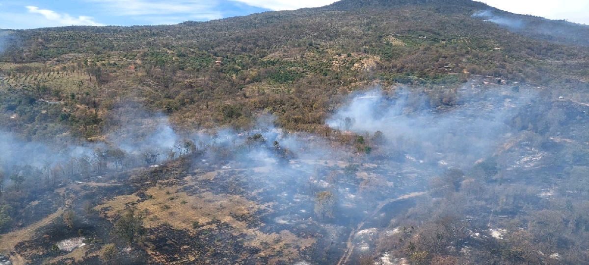 incendios forestales en michoacán 2024