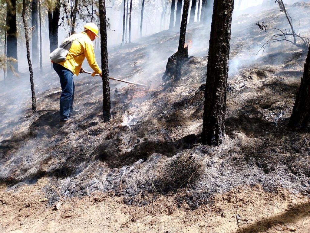 incendios forestales en Michoacán 5
