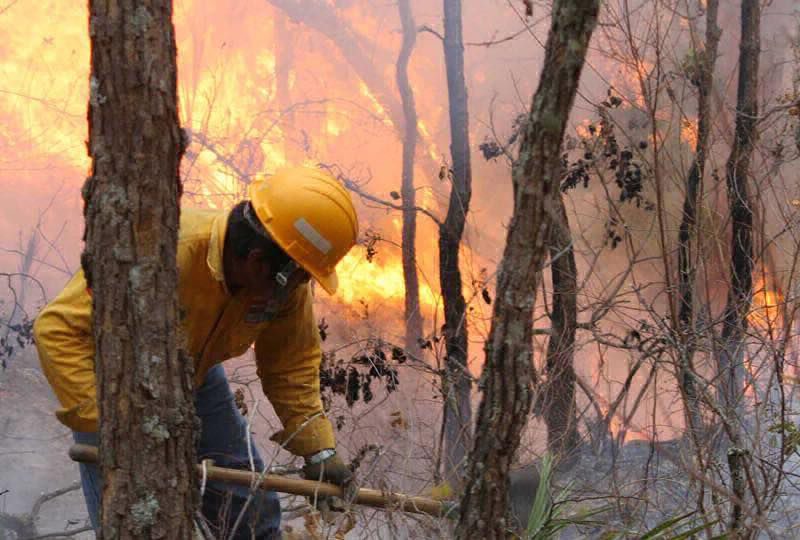 incrementan los casos de incendios forestales en México