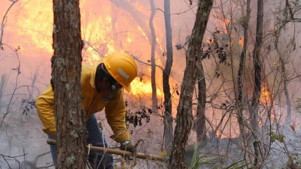 incrementan los casos de incendios forestales en México