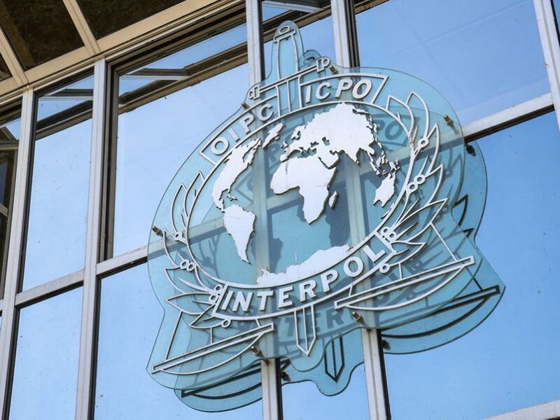 Interpol detecta fraudes financieron del CJNG con IA